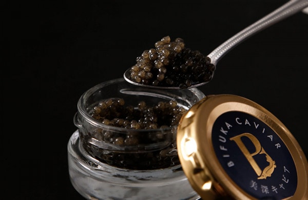 【美深振興公社】美深キャビア