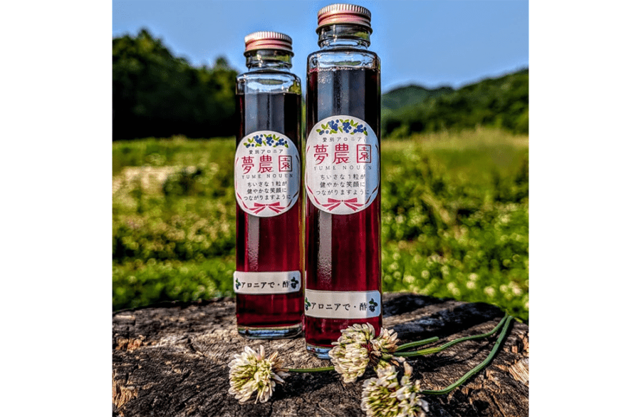 【愛別町】アロニアで・酢　3本セット