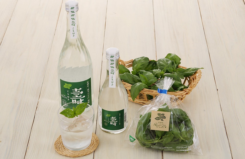 【お酒】バジル焼酎「壽」