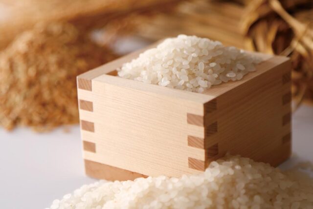 新篠津村ななつぼし 5kg×2袋