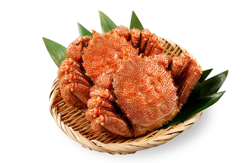 2025年オホーツク産毛ガニ　1杯・2杯（早期割引）