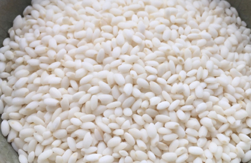 北海道上川郡愛別町産 もち米「きたゆきもち」 5kg