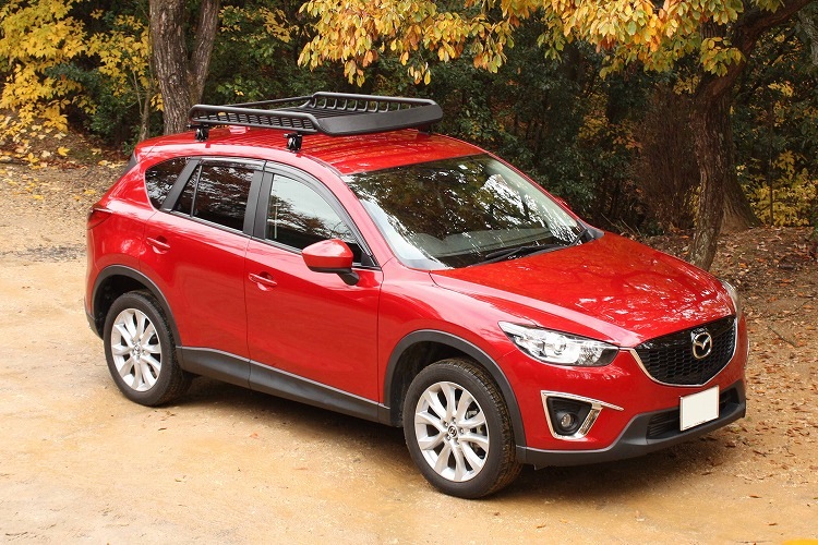 ����������ɡ�M��������140cm��100cm