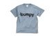 CAMPS�����T����� bumpy