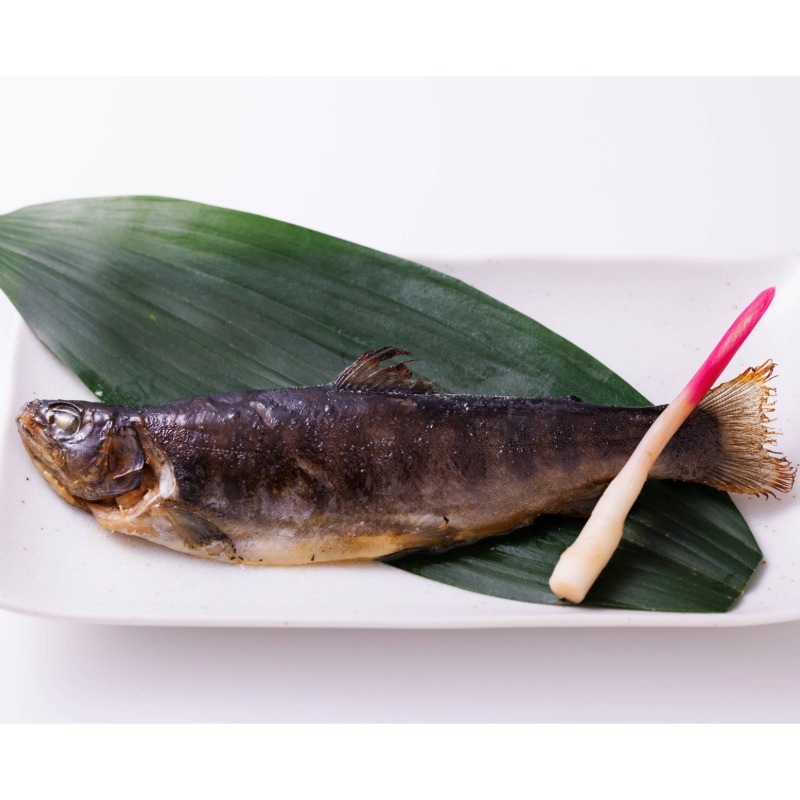 酒悦箸処　いわな 粕漬