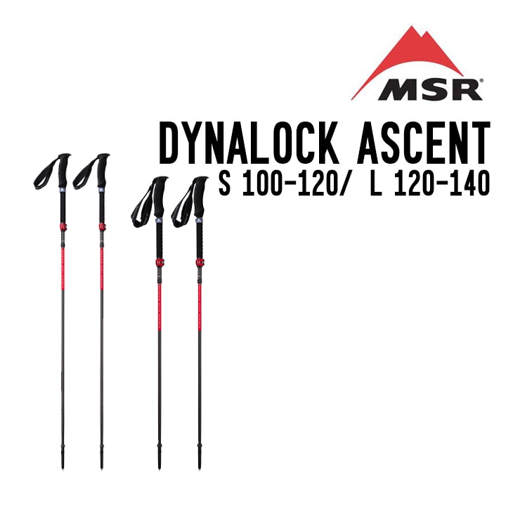 DYNALOCK ASCENT POLE