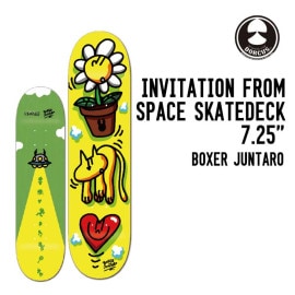 DORCUS BOXER JUNTARO INVITATION SKATE