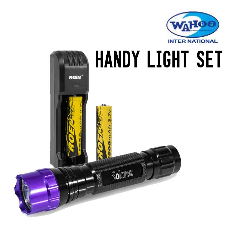 HIGH POWER UV HANDY LIGHT SET - 1