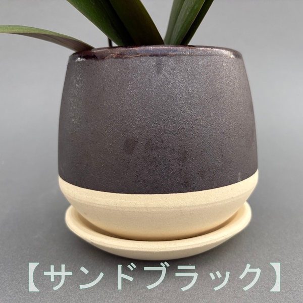 ミディ胡蝶蘭　2本立　信楽焼 クウィルポット