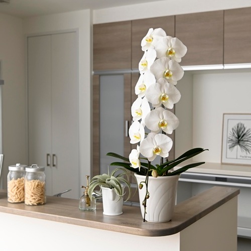 ハピネスサポーター　1万円コース