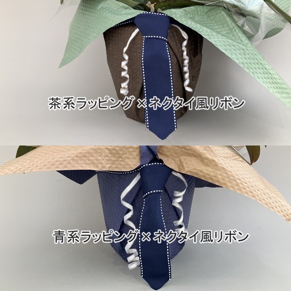 【父の日特別ラッピング】大輪胡蝶蘭 白 1本立ち 10輪以上（つぼみ含む）