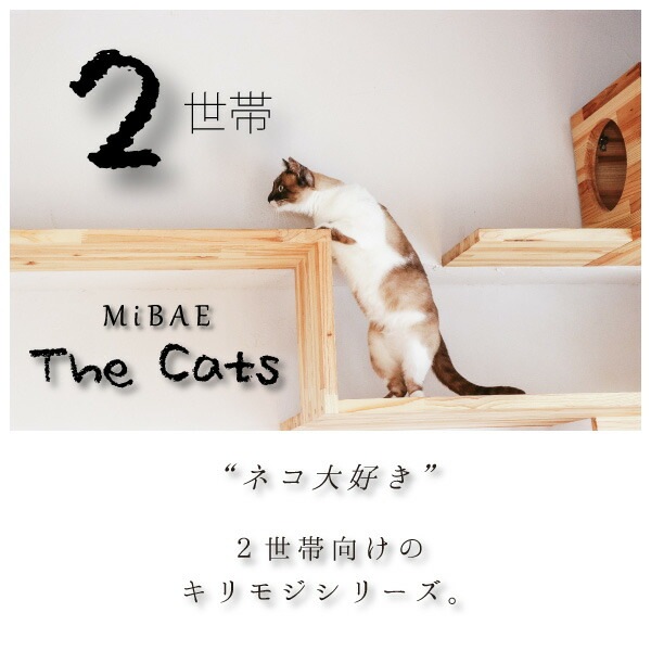 表札 ステンレス 表札 戸建 切り文字 アイアン調ステンレス【MiBAE The Cats】二世帯 おしゃれな猫（ネコ）のデザイン表札 選べる書体は10種類【横幅40センチ】ひょうさつ 新築祝い アルファベット 黒 カフェ風 夫婦 別姓 to-02