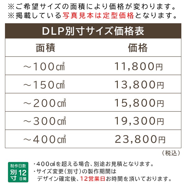 表札 ステンレス サイズオーダー可 マグネット対応可 デザイン加工を施したステンレスプレート表札 145×58mm 【DLP-PL-301】 to-04