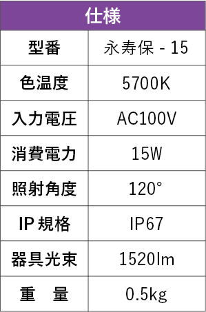 投光器　永寿保　15W