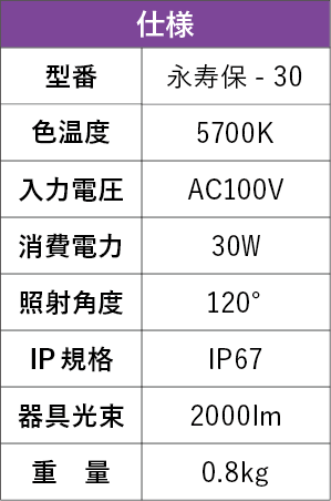 投光器　永寿保　30W