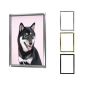 åץե졼 դ ( A2 )    ݥѥͥ ۱ ̿  ݥ