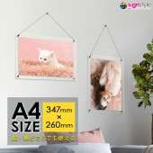 ɳݤ ꥢեȥե졼 A4Ʃ ꥢ ե졼 ɳݤ ե졼 ̿ե졼  ƥꥢ ץ ݥ 