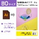 �ž������ѥݥ����� �Хå��饤�ȥե���� B0������