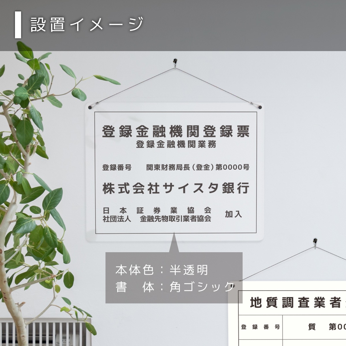 ����¾ˡ�����_���䥫���ȡ��ߤ겼�� / 450mm��350mm / ȾƩ����