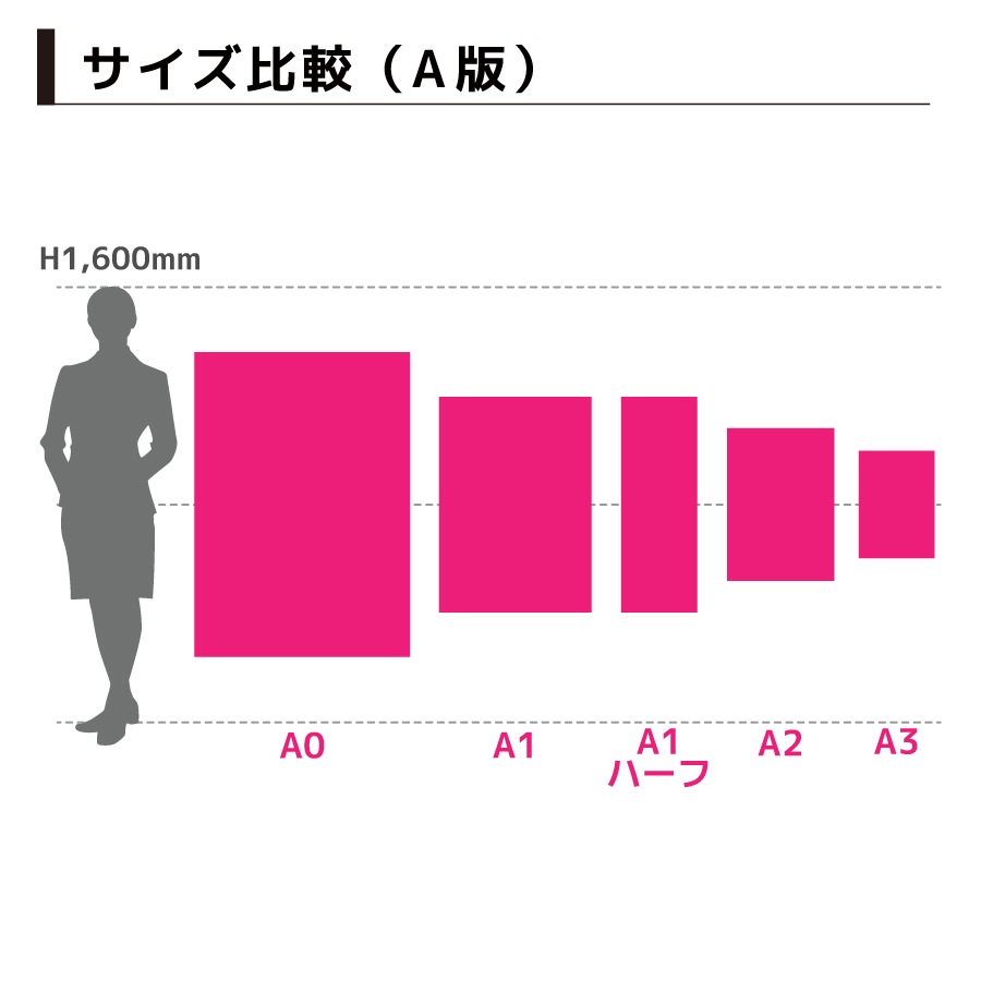 �ž������ѥݥ����� �Хå��饤�ȥե���� B2������
