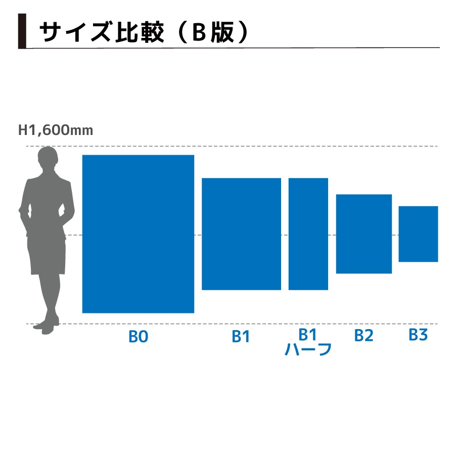�ž������ѥݥ����� �Хå��饤�ȥե���� B2������
