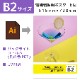 �ž������ѥݥ����� �Хå��饤�ȥե���� B2������