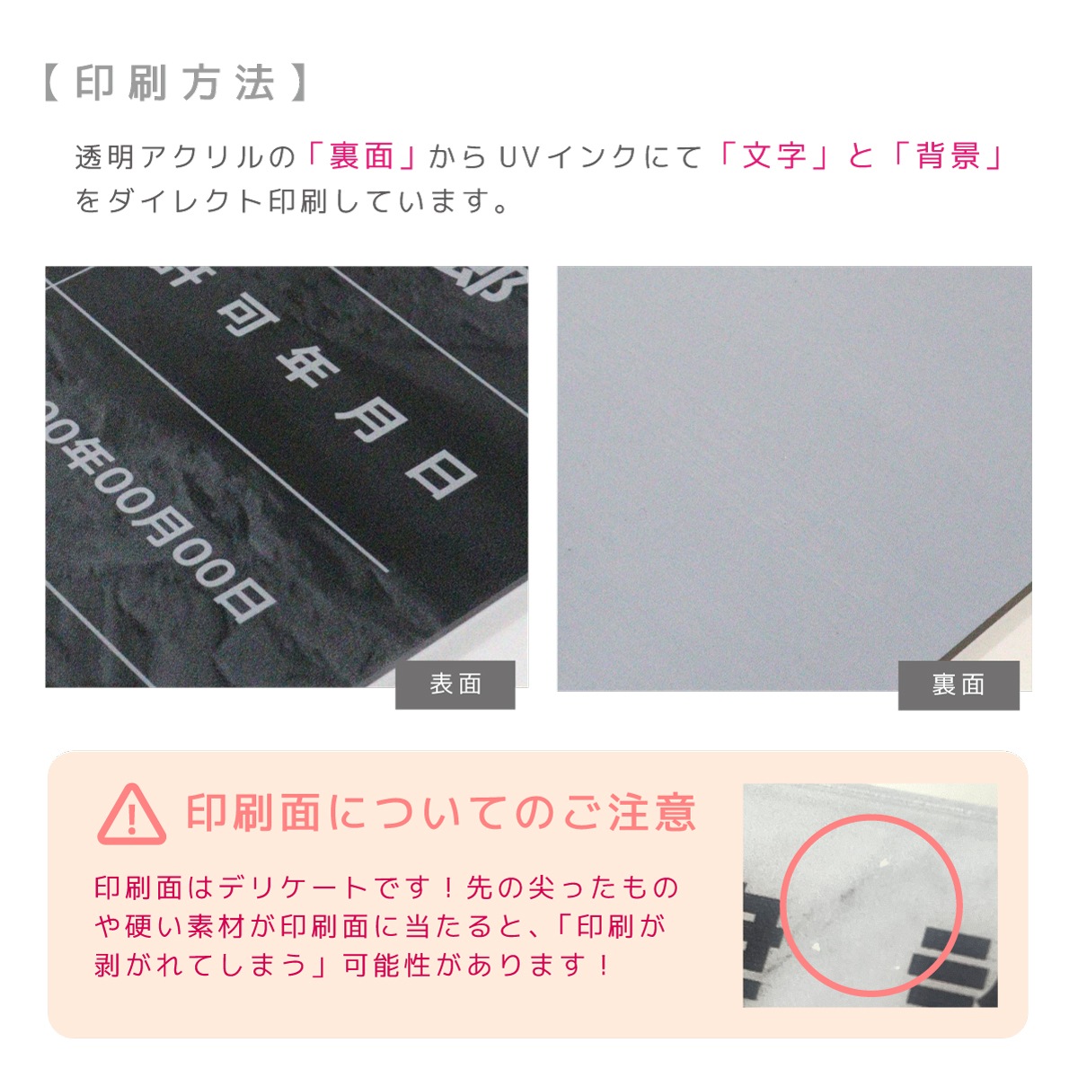 ���߽�������ȼ���Ͽɼ �ǥ�����ѥ�����_��륿���� (���դ�/450mm��350mm / L002 )