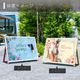 �ڿ��̸���ۥ�����ɴ��� A���ե졼��쥹������� (B0������ / ���� / ���̥ۥ磻�� / �ե졼�५�顼���������������꡼�󡢥ԥ�)