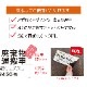 ���Ѽ��� �ޥ��ͥåȥ�����(����)��4�ԥ����� 200mm��320mm ���Ѽ� ̾���� ���� ���������б� ���� ���� �����Ѵ�ʪ�������¼� �Ķ��� ˡ������� ���ꥸ�ʥ�