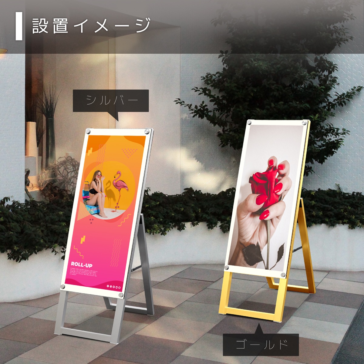 ɴ Aե졼쥹 (A1ϡե /  / ̥ۥ磻)A ݥե졼  