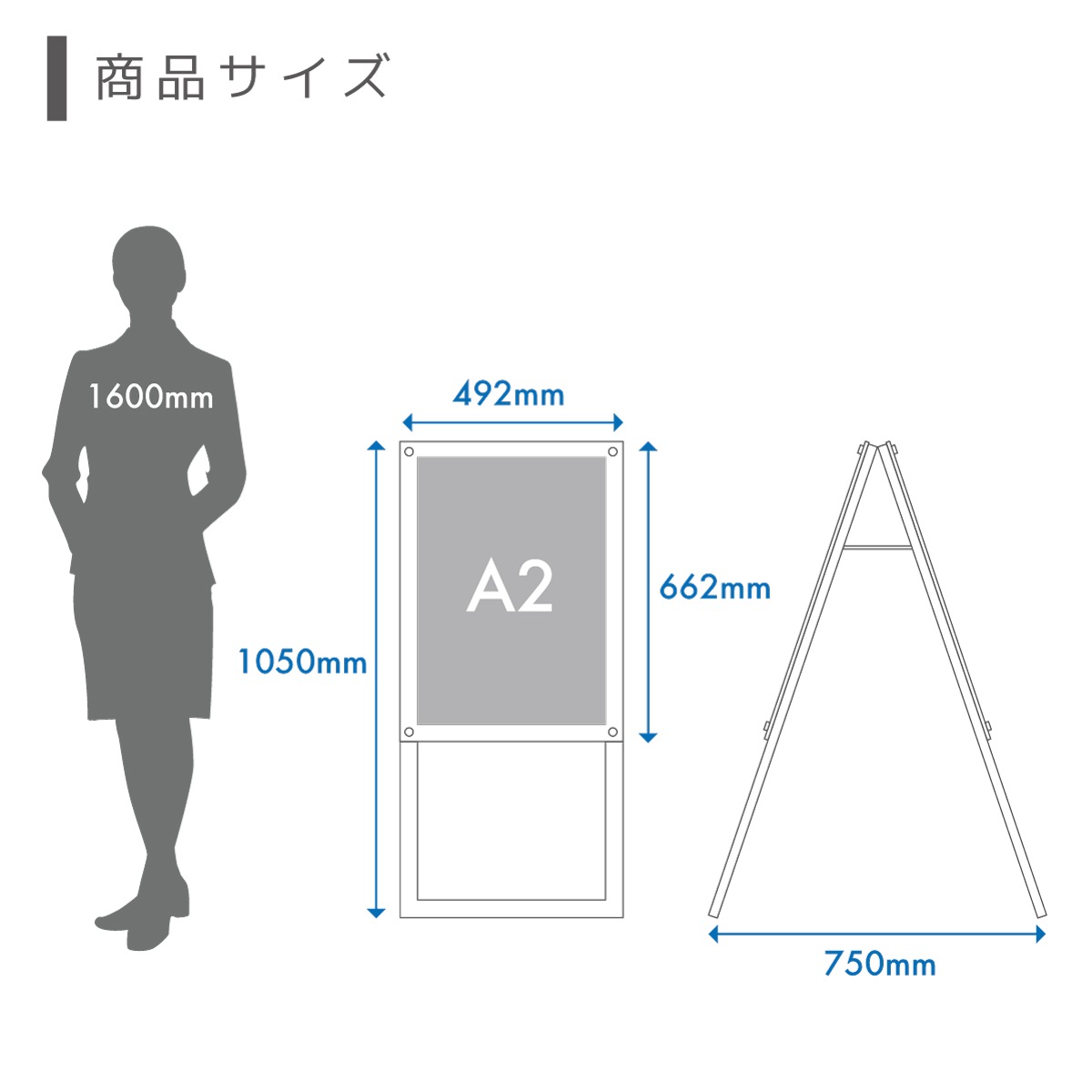 ɴ Aե졼쥹 (A2 / ξ / ̥֥å)A ݥե졼  