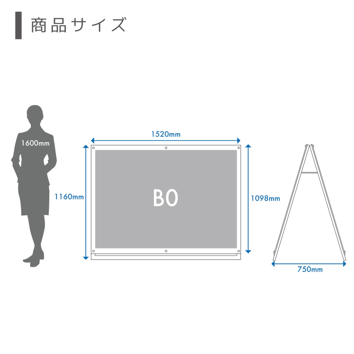 ɴ Aե졼쥹 (B0 / ξ / ̥ۥ磻)A ݥե졼  