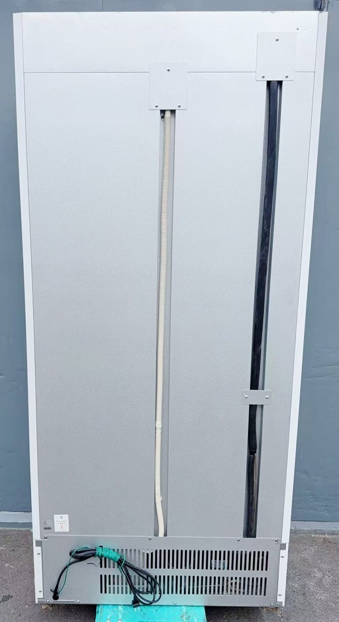 ����šۥ꡼��������¢���硼������ ������ 301AU-EC 100V 2021ǯ