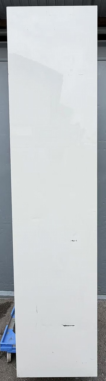 ����šۥ꡼��������¢���硼������ �ѥʥ��˥å� SRM-RV319SB 100V 2019ǯ