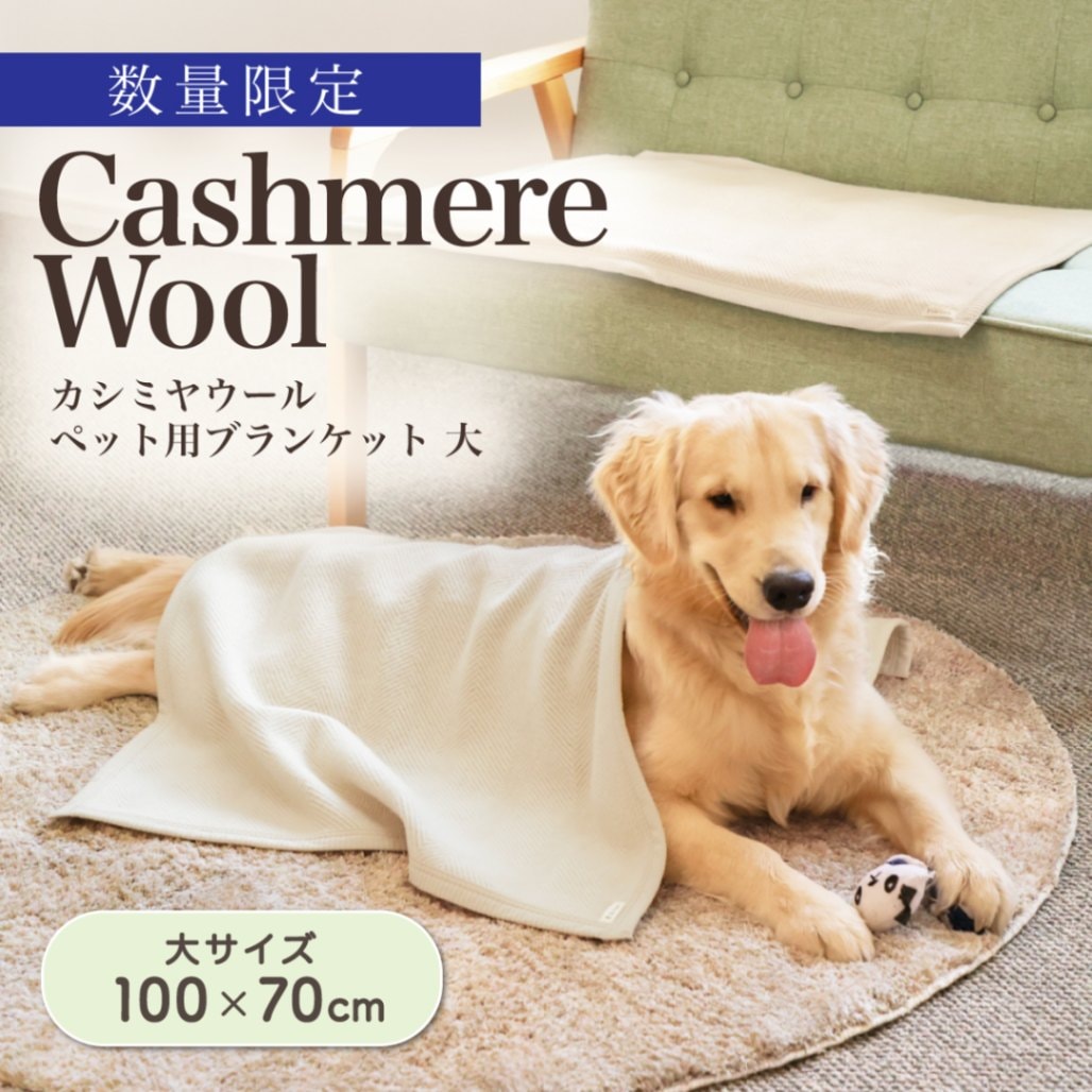 数量限定　カシミヤウール ペット用ブランケット 大