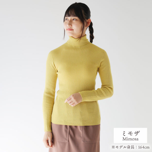 32_000000001696.jpg?1762330245