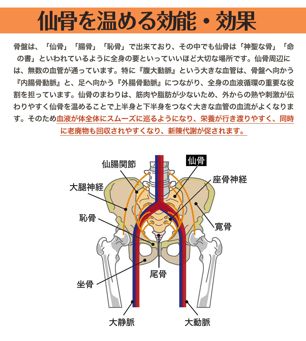 ѥå 륯 W