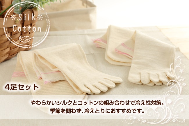 ڲǡ䤨Ȥ귤4­ȥץߥॽեȡ륯åȥ /