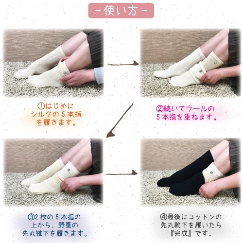 ���륯��5�ܻؤ����٤�㸨�ߥ������Τ�����ꥻ�å�