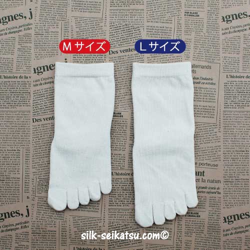 ���륯�����åȥ󡦥���˥�5�ܻ�