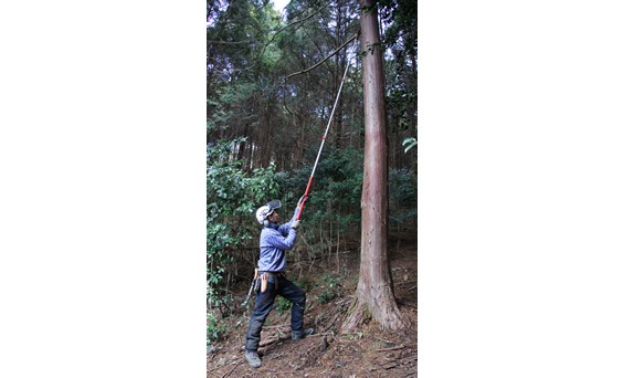 ③ フォレスター FORESTER 取扱説明書 | 取扱説明書 | ディーラーサービス | SUBARU