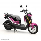 ZOOMER-X