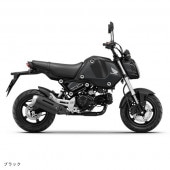 GROM  ��������