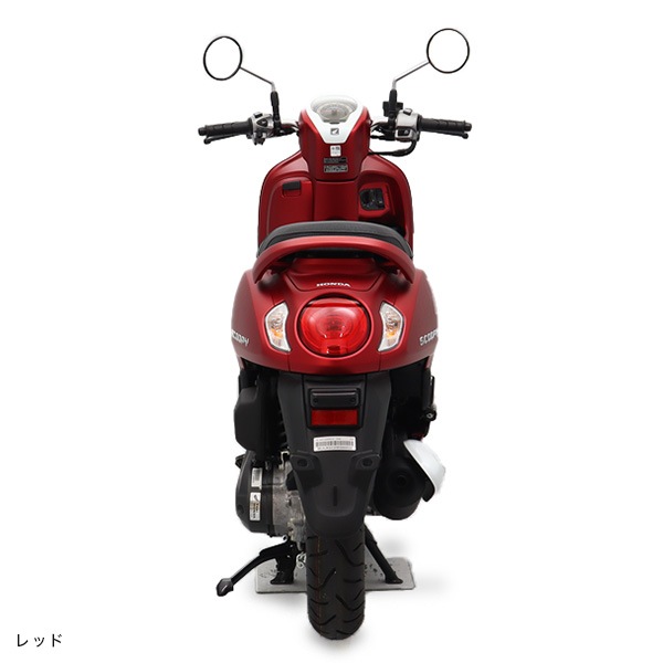 Scoopy i Club12