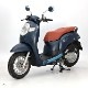 Scoopy i Club12