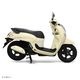 SCOOPY  �ץ쥹�ơ�����TS)  ������ǥ�