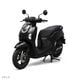 SCOOPY  �ץ쥹�ơ�����TS)  ������ǥ�