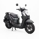 Scoopy  Club12ǥ