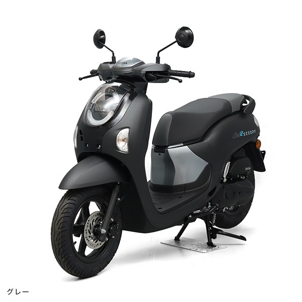 SCOOPY  CLUB12��TS)  ������ǥ�