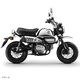 MONKEY CHROME LIMITED EDITION ������ǥ� �軰�� �ǽ�����